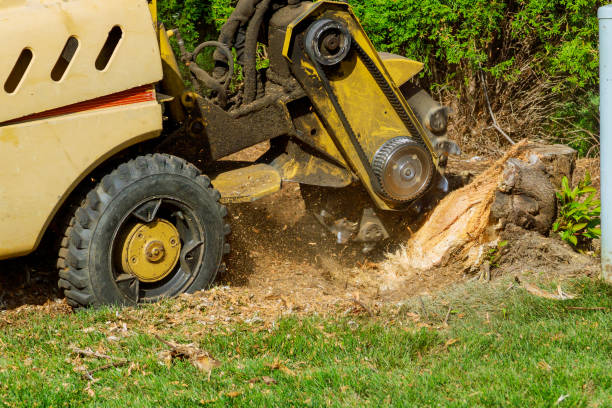 Leaf Removal in Fairview, NY